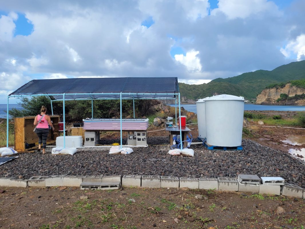 Testing Site at Gunn Hill