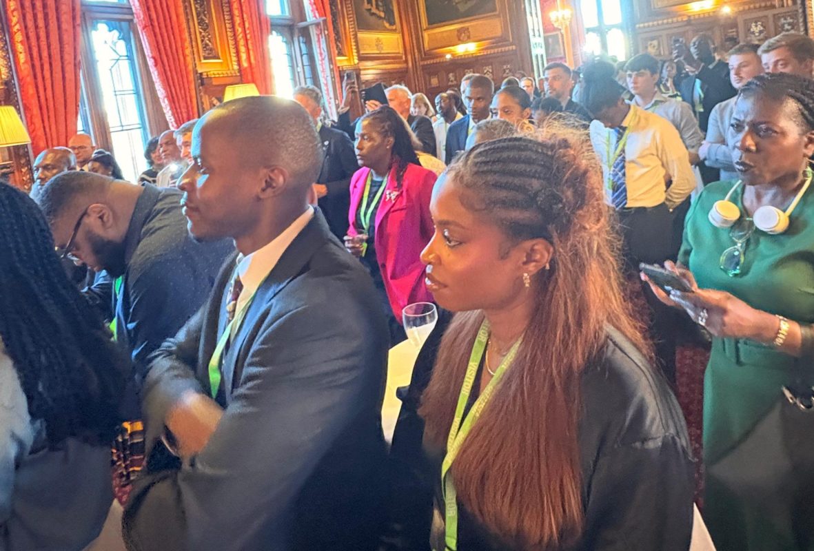 Guests at House of Commons (Jaena Golden Photo)