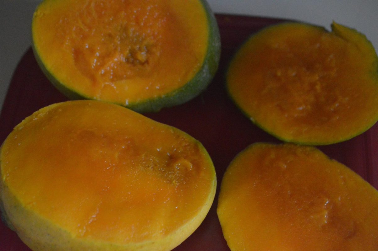 Some mangoes once ripe develop a soft inner core. The fruit remains edible but the export potential is lost.