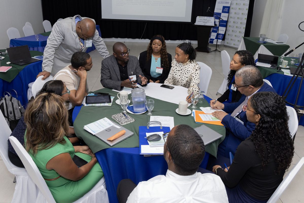 Montserrat's Ajhermae White top centre at OECS Workshop (OECS Photo)