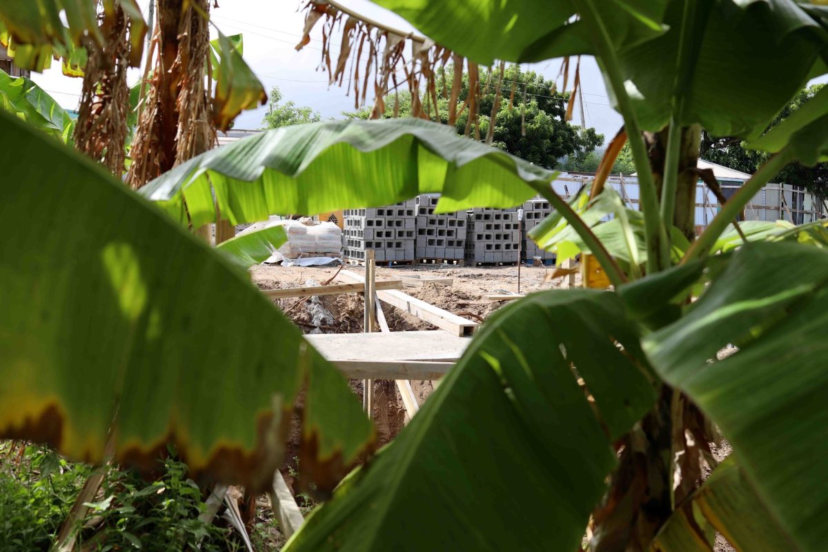 Construction site for the new tissue culture facility at MALHEYS (MALHEYS Photo)
