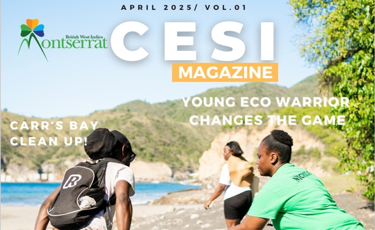 CESI magazine April 2025