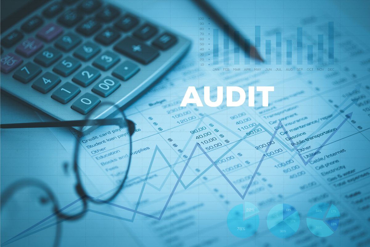 DM blog - audit
