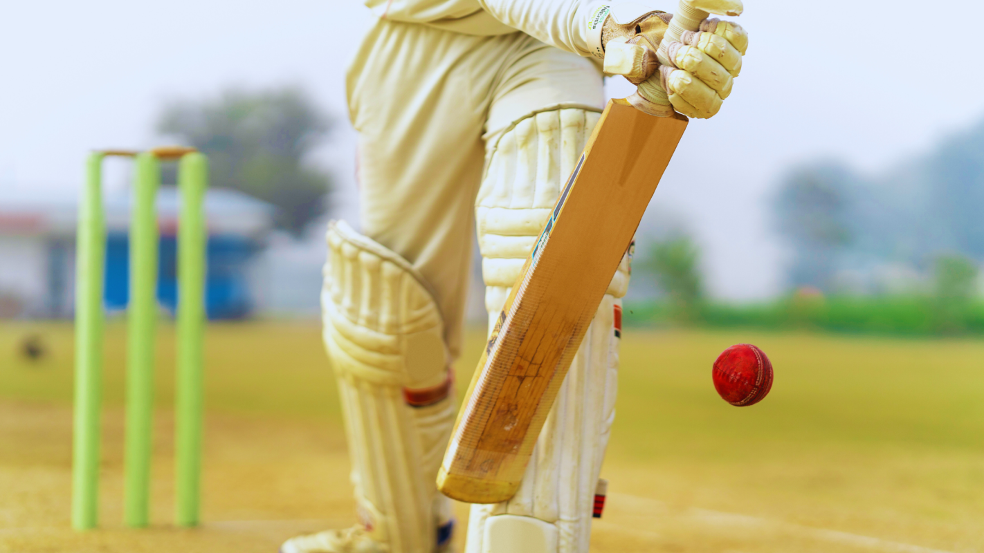 DM - cricket bat and ball