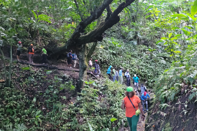 Scriber at Dry Waterfall (Nerissa Golden Photo)