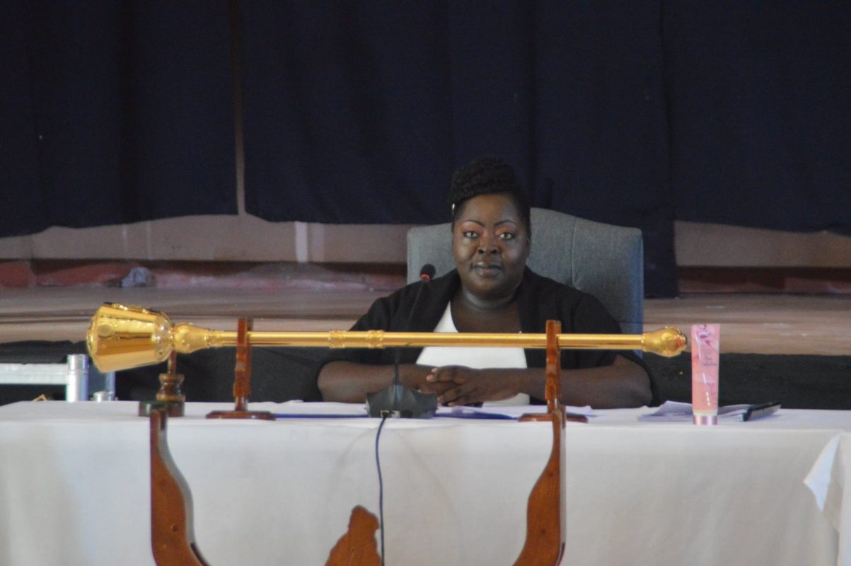 Former Speaker of the House Charlena White (File Photo)