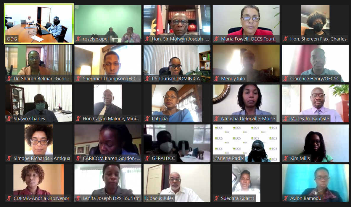 Screenshot of Extraordinary Meeting on COVID-19 in the OECS