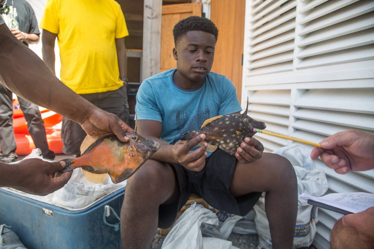 Keinan measures and counts fish. (Blue Halo Photo)