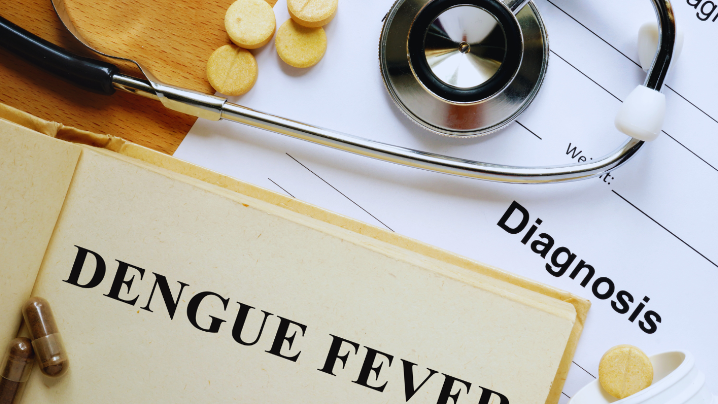 dengue fever